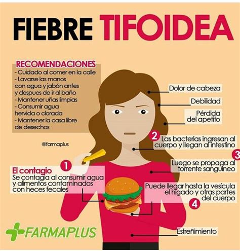 sintomas de tifoidea